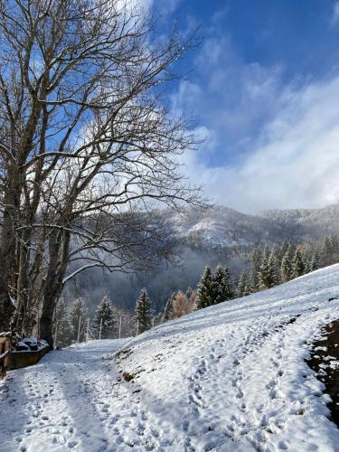 Southern Stables Ranch