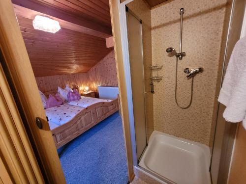 ヴィルゲンにあるGästehaus Bergwald - Pötscherjahringerhofのベッドルーム1室(ベッド1台、シャワー、バスタブ付)