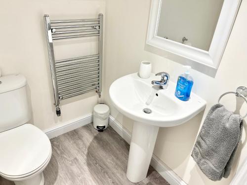 a white bathroom with a toilet and a sink at Waterloo Townhouse Inverness in Inverness