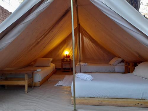 a bedroom with two beds in a canvas tent at Aji Verde Hostel San Pedro in San Pedro de Atacama