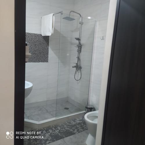 a bathroom with a shower and a toilet at Two Lions Hotel in Tbilisi City