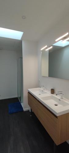 une salle de bain avec un lavabo blanc et un miroir dans l'établissement BARTHOME, à Taissy