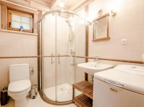 a bathroom with a shower and a toilet and a sink at Klimatyczny domek z drewna nad morzem in Dębina