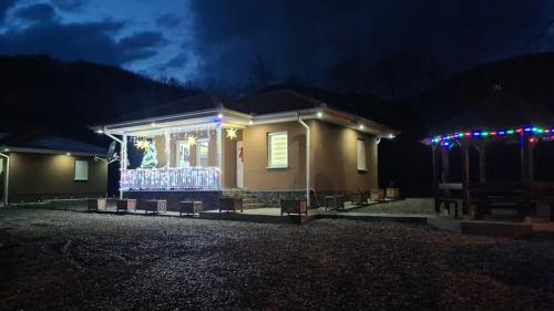 a house with christmas lights in front of it at night at OAZA in Mokra Gora