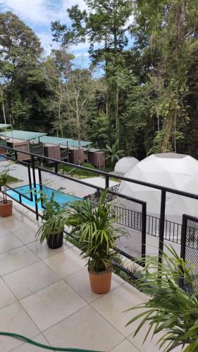 a patio with plants and a swimming pool at HOTEL, VILLAS y GLAMPINGS MYA -PUERTO VIEJO, Limon, CR in Puerto Viejo