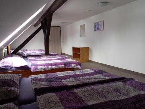卢捷纳普德克利诺夫琴Pension Hraničář的紫色毯子间内的两张床