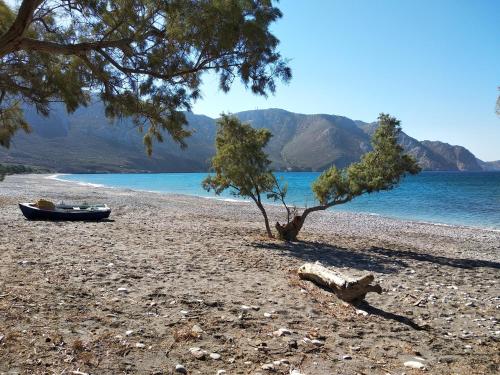 een boom en een boot op een rotsachtig strand bij IVISKOS House, Megalo Horio village, Tilos Island in Megálon Choríon