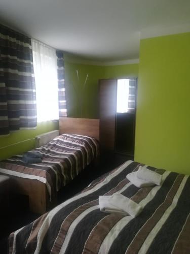 two beds in a room with green walls at Pension Krista in Kraslice
