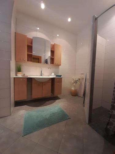 uma casa de banho com um lavatório e um chuveiro com um espelho. em Gasthaus zum Fuchs - Familie Andrä em Hermagor