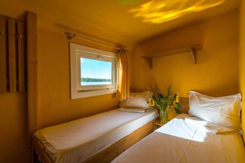 UzlinaにあるHotel Plutitor Kingfisherの窓付きの小さな部屋のベッド2台