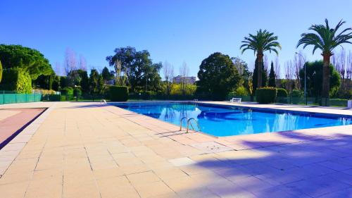 a large swimming pool with palm trees in the background at Résidence Islette du Riou avec piscine By Palmazur in Mandelieu-la-Napoule