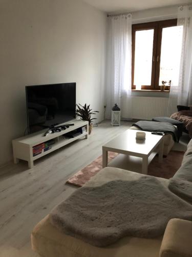 A television and/or entertainment center at Apartament Lux-centrum