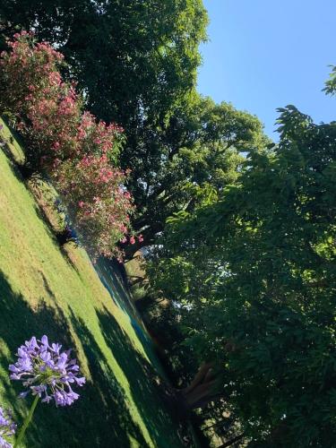 Las Piedras - Casa de Campo – Photos 3