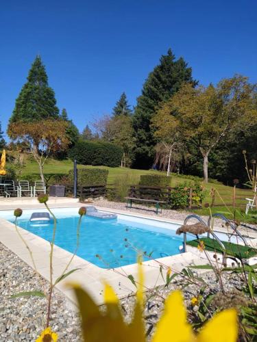 สระว่ายน้ำที่อยู่ใกล้ ๆ หรือใน Villa de 3 chambres avec piscine privee jardin amenage et wifi a Bannes