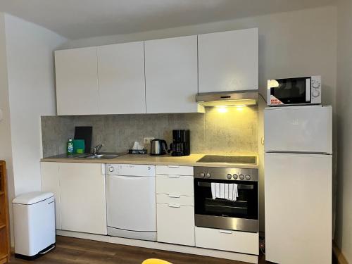 Una cocina o zona de cocina en Apartment Sophia - Hallstatt