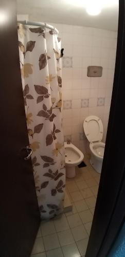 a bathroom with a toilet and a shower curtain at Hotel Panoramico Bariloche in San Carlos de Bariloche