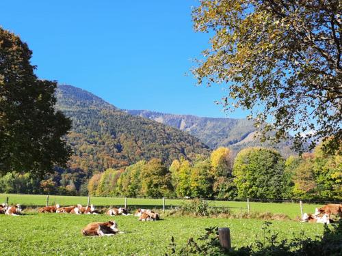 Ferienwohnung Alpenflair – Photos 4