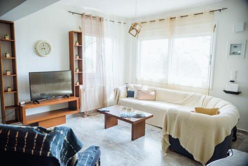 Akadimia Luxury Apartment في ميتيليني: غرفة معيشة مع أريكة وتلفزيون