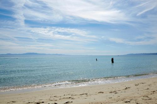 Gallery image of Margarita Sea Side Hotel in Kallithea Halkidikis