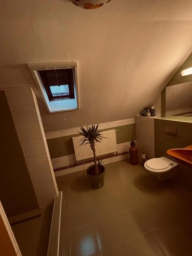 ein Badezimmer mit einem WC und einer Topfpflanze in der Unterkunft Casa Verde in Foeni