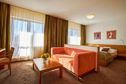 ein Hotelzimmer mit einem Sofa und einem Bett in der Unterkunft Hotel Stupka in Tale