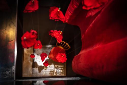 a group of red poppies hanging on a wall at Zrooms&Suites Hostel Boutique in Zaragoza