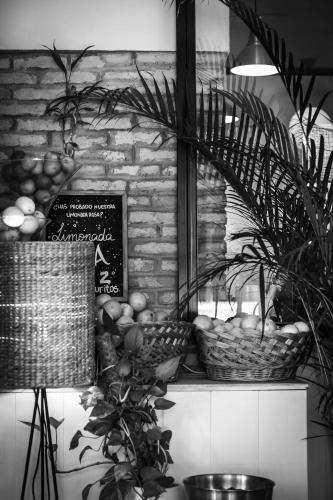 a room with baskets of fruit on a shelf at Zrooms&Suites Hostel Boutique in Zaragoza