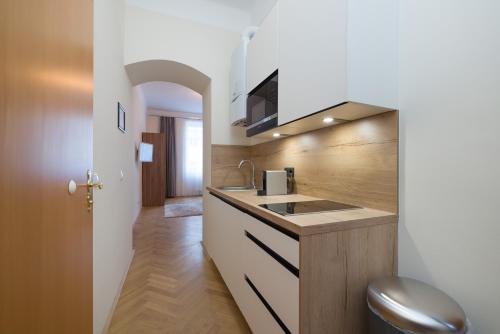 a kitchen with a sink and a counter top at Vienna Stay Apartments Schönbrunn in Vienna