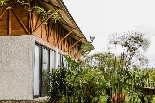 a building with windows and plants in front of it at Ecohotel Monte Tierra Habitaciones y Glamping in Filandia