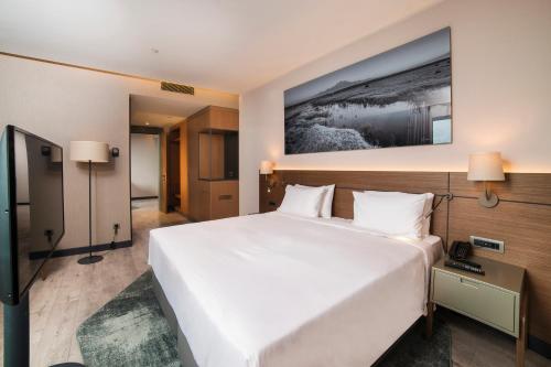 Ένα ή περισσότερα κρεβάτια σε δωμάτιο στο Radisson Blu Hotel, Mount Erciyes