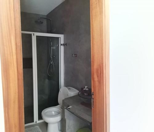 a bathroom with a shower and a toilet and a sink at Luz d'Sol - Residencial Familiar in Pombas