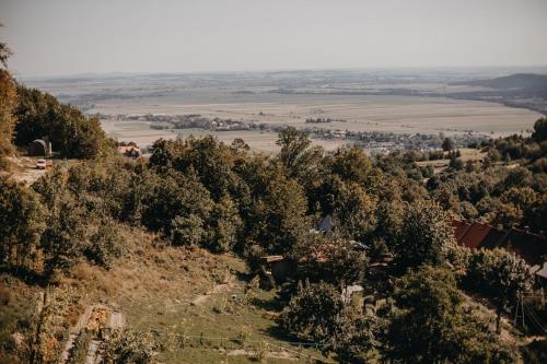 a view from the top of a hill with trees at Villa Hubertus in Srebrna Góra