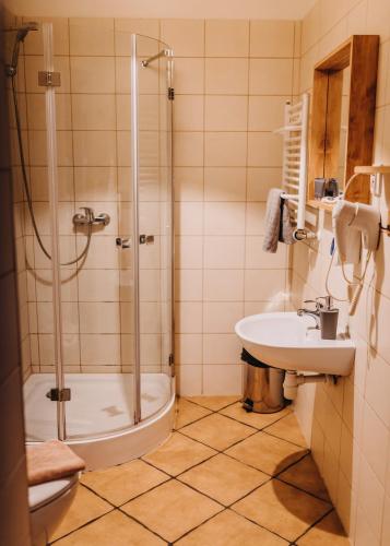 a bathroom with a shower and a sink at Villa Hubertus in Srebrna Góra