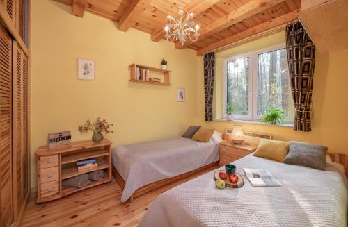 a bedroom with two beds and a window at Masuria Warsaw Family in Topolina