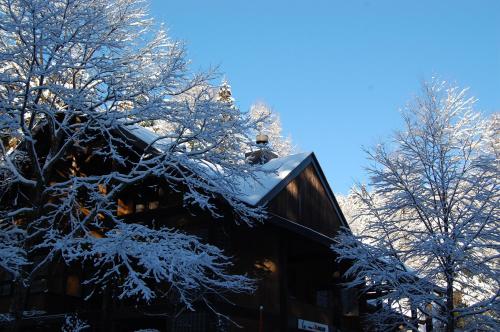a building with snow covered trees in front of it at Il Bosco in Hakuba