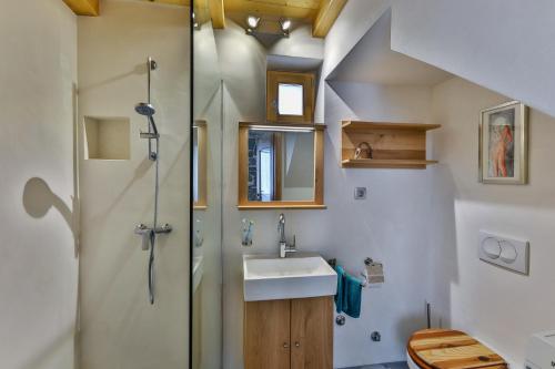 a bathroom with a sink and a shower at Mountain Lodge Istria, Tiny house in Roč