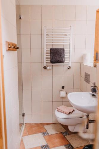 a bathroom with a toilet and a sink at Villa Hubertus in Srebrna Góra