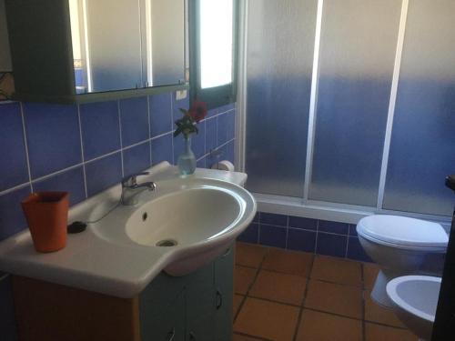 La salle de bains est pourvue d'un lavabo et de toilettes. dans l'établissement CASA LAS VISTAS, à Fuencaliente de la Palma