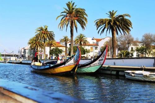 three boats are docked in a river with palm trees at Rota Ria Alojamento Local in Aveiro