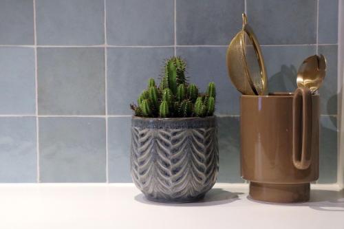 a green plant in a vase sitting on a counter at Maison des Étoiles in Aalst