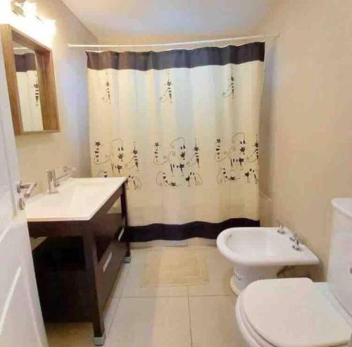 ein Badezimmer mit einem WC, einem Waschbecken und einem Duschvorhang in der Unterkunft Entire apartment in Patagonia rebate in physical dollar in Ushuaia