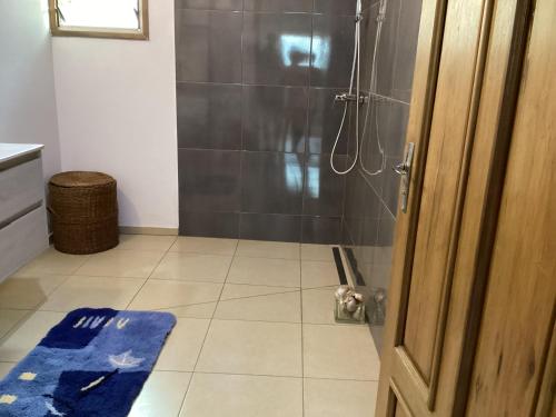 a bathroom with a shower and a blue rug at Villa ChezSoa, Andoharanofotsy. in Antananarivo