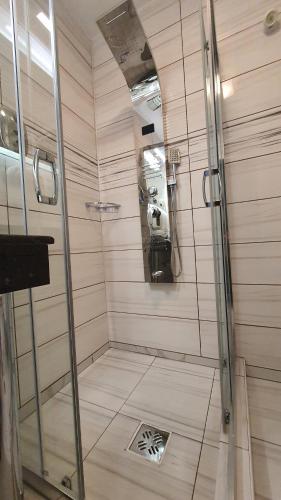 托普利察的住宿－Apartament Fodor，浴室里设有玻璃门淋浴