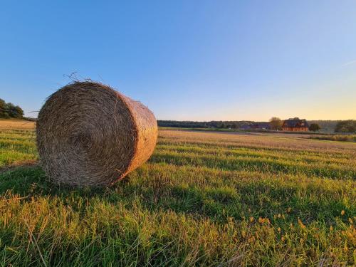 a roll of hay sitting in a field at Siedlisko na Wzgórzu - Noclegi Agroturystyka - Borsuki in Sarnaki