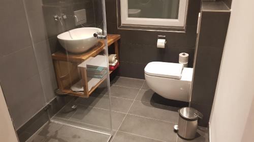 een badkamer met een wastafel en een toilet bij Stadtnahe Wohnung mit kl.Balkon und Parkplatz in Oldenburg