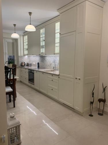Kuchyň nebo kuchyňský kout v ubytování Apartament Prestige Pruszków