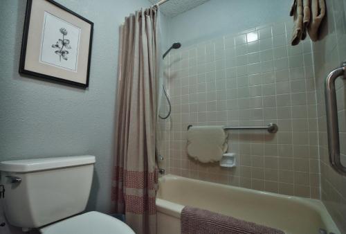 a bathroom with a toilet and a tub and a shower at Home On the Green in Salado