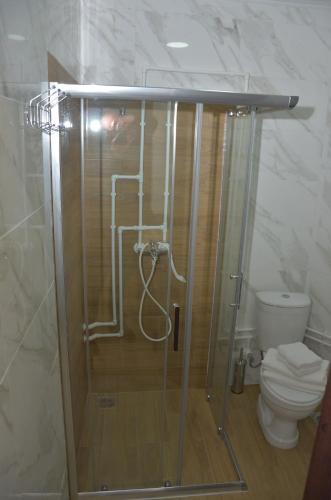 y baño con ducha y aseo. en Vikendica Čeperković #3 en Kopaonik