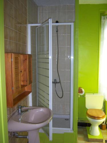 une salle de bain avec un lavabo, des toilettes et une douche dans l'établissement Hotel Edelweiss, à Magland