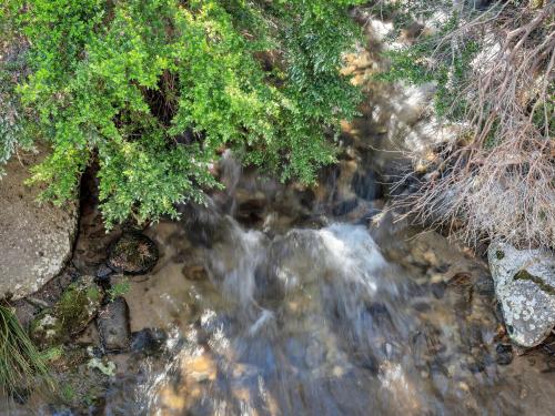 a stream of water with rocks and trees in the foreground at Onyx 2a in Thredbo